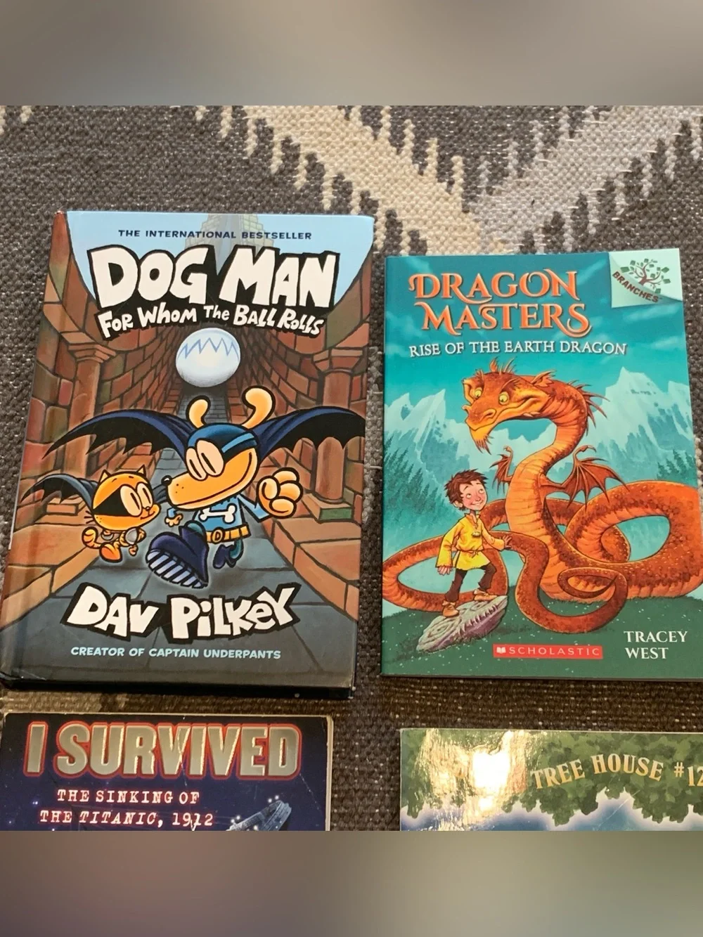 Children's Book Lot - Dog Man, Magic Tree House, Goosebumps, and More